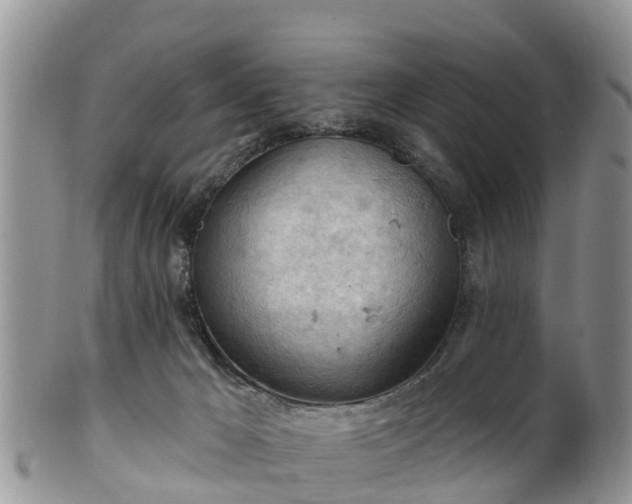 X0000102280029200808011500