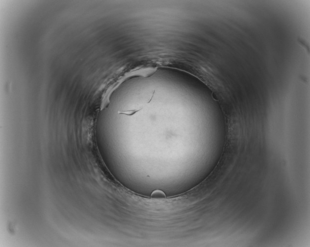 X0000102280030200808011500