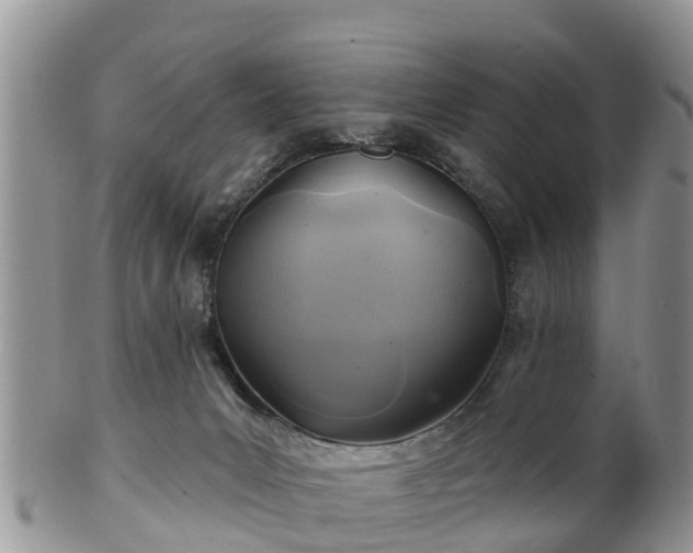 X0000102280031200808011500