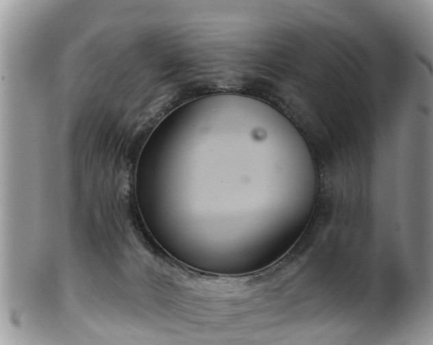 X0000102280032200808011500