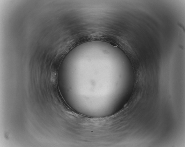 X0000102280033200808011500