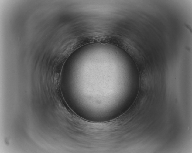 X0000102280034200808011500