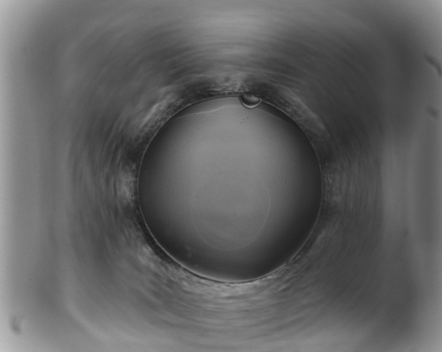 X0000102280035200808011500