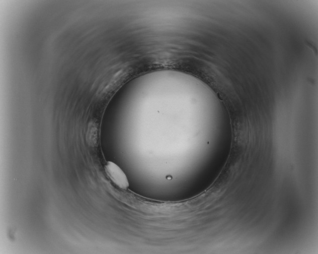 X0000102280036200808011500