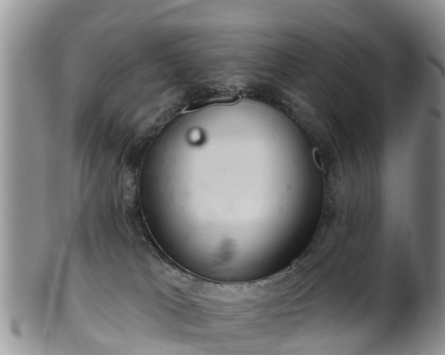 X0000102280037200808011500