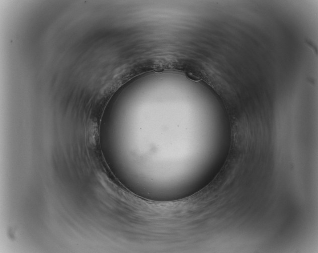 X0000102280038200808011500