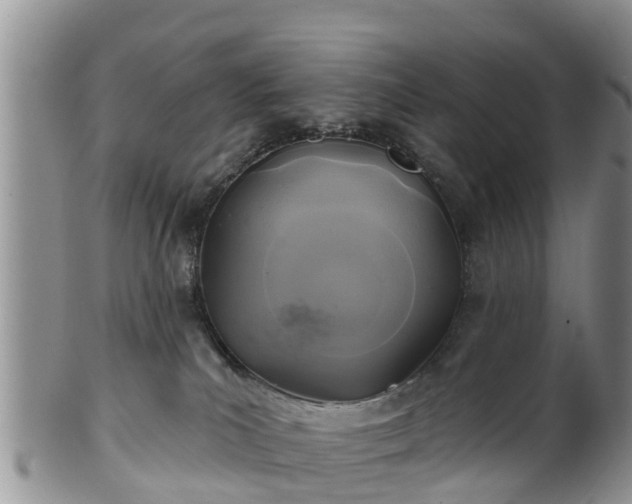 X0000102280039200808011500