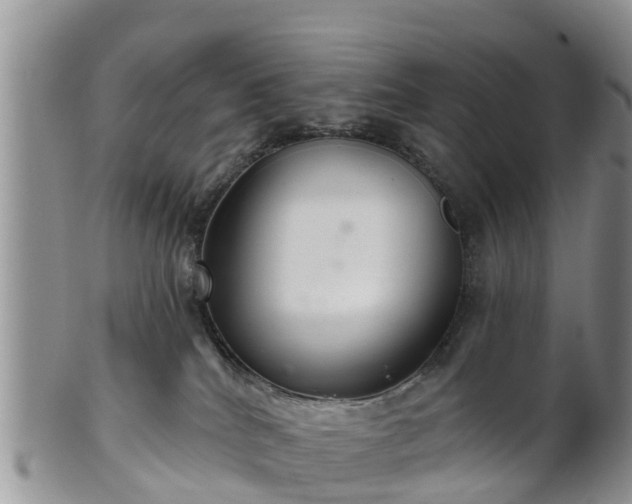 X0000102280040200808011500