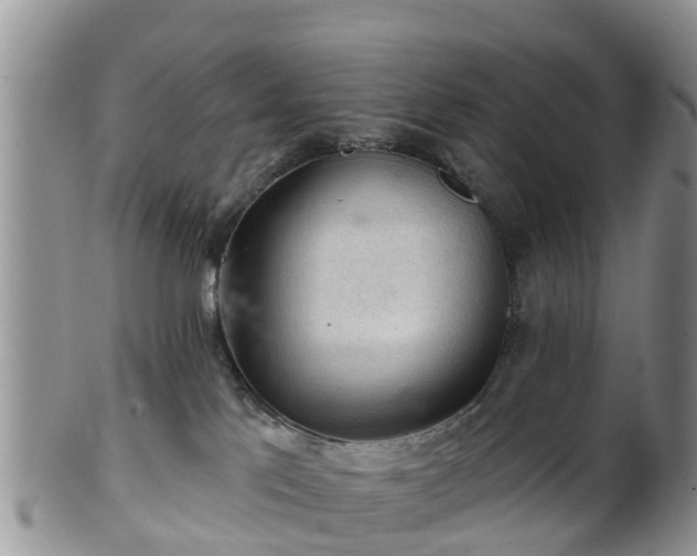 X0000102280041200808011500