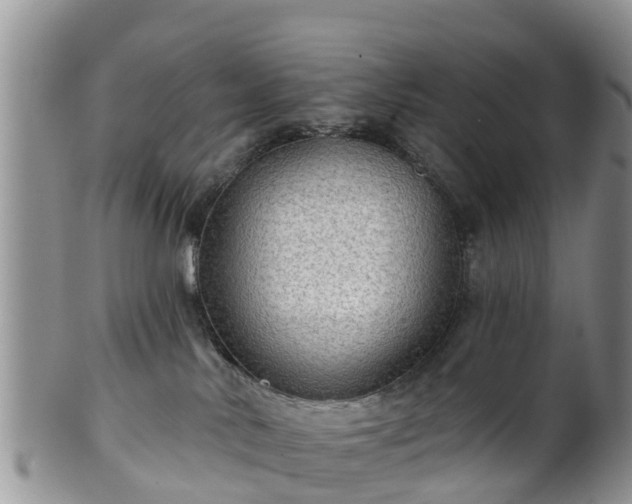 X0000102280042200808011500