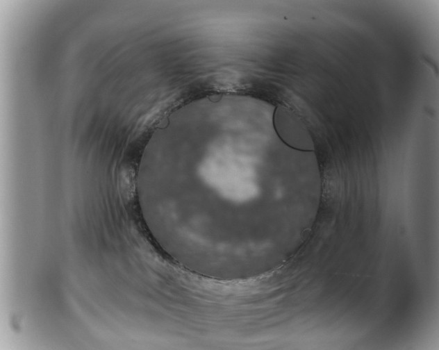 X0000102280043200808011500