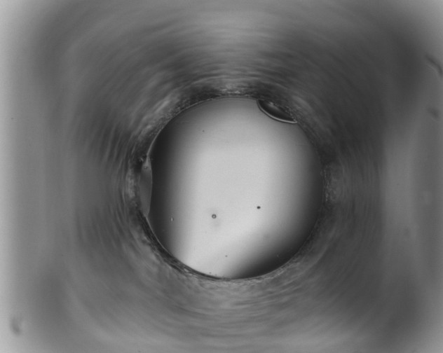 X0000102280044200808011500