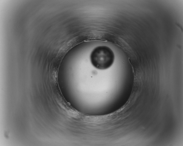 X0000102280045200808011500