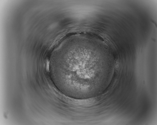 X0000102280046200808011500