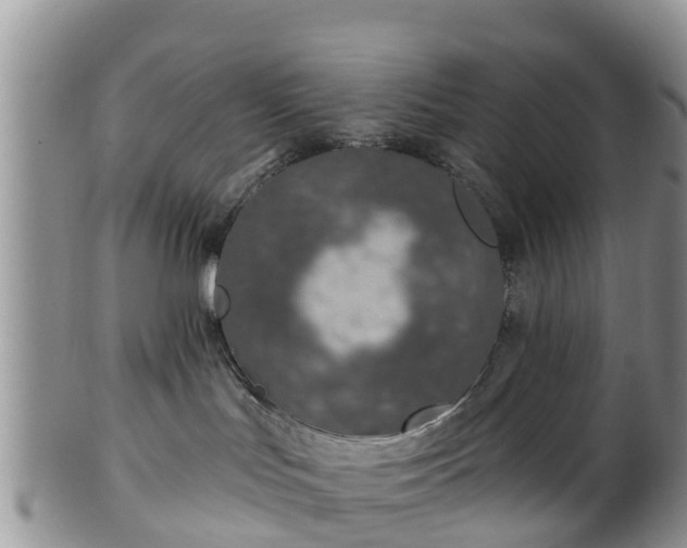 X0000102280047200808011500