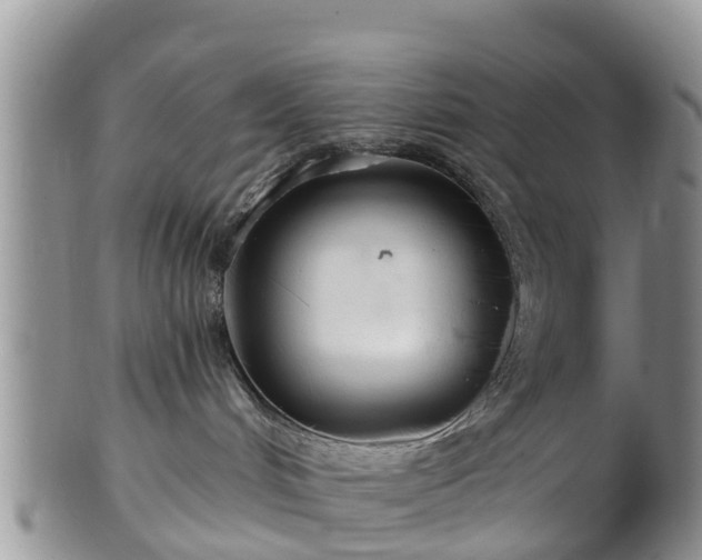 X0000102280048200808011500