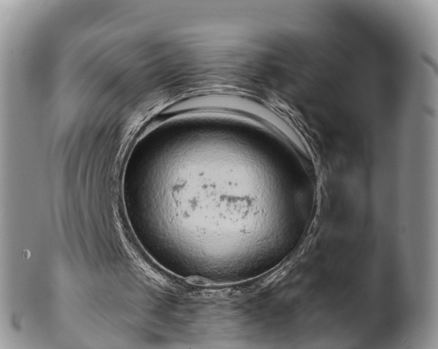 X0000102280049200808011459