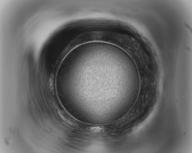 X0000102280050200808011459