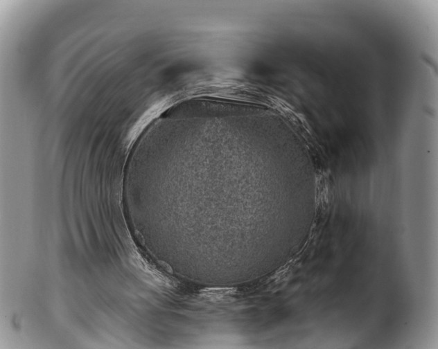 X0000102280051200808011459