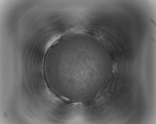 X0000102280052200808011459