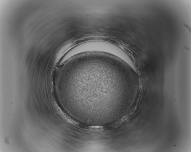 X0000102280053200808011459