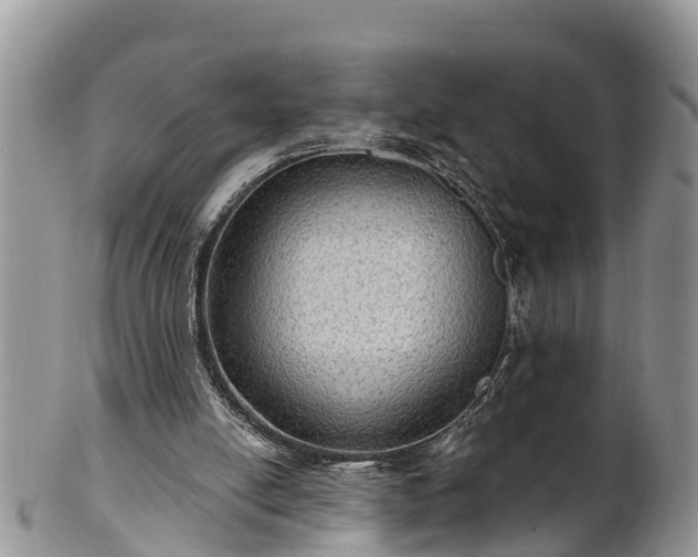 X0000102280054200808011459