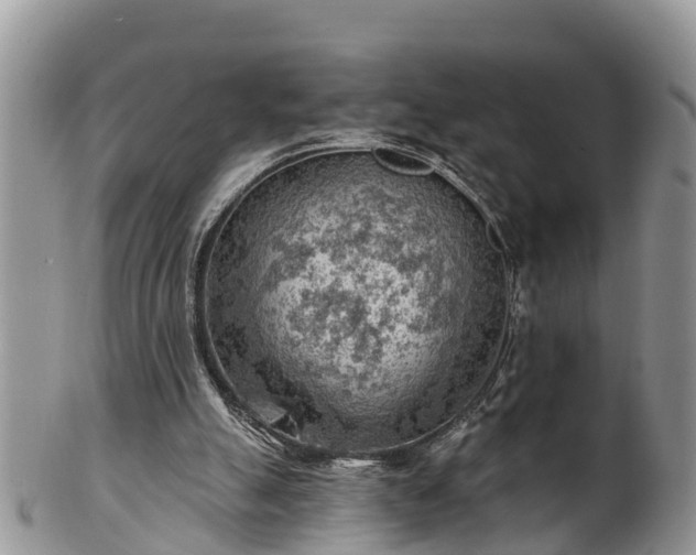 X0000102280055200808011459