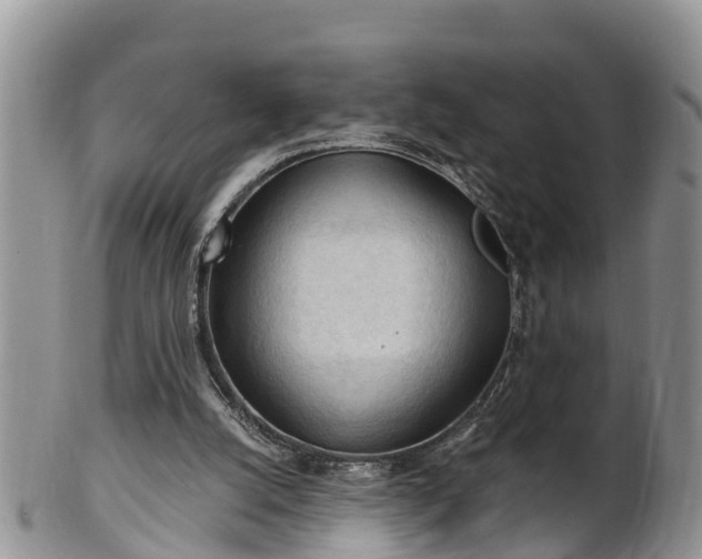 X0000102280056200808011459