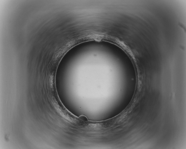 X0000102280057200808011459