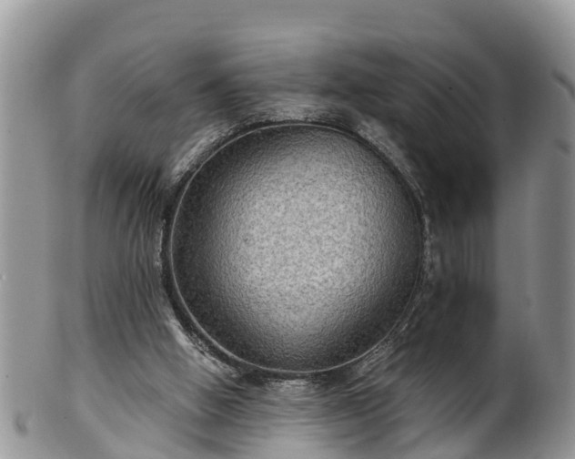 X0000102280058200808011459