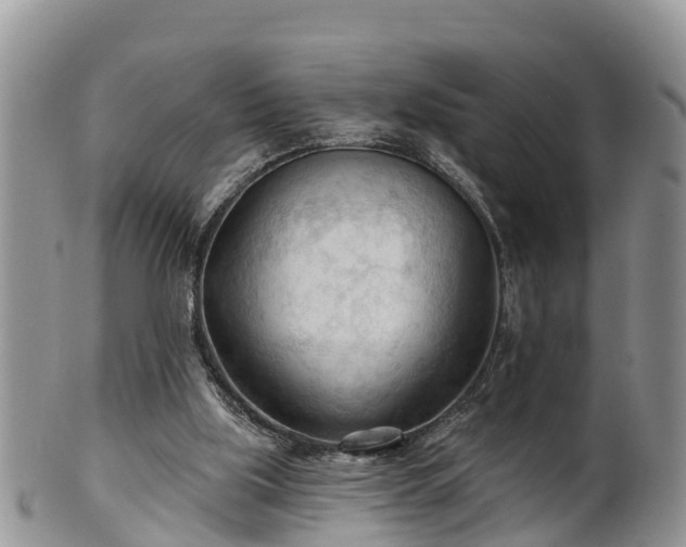 X0000102280059200808011459