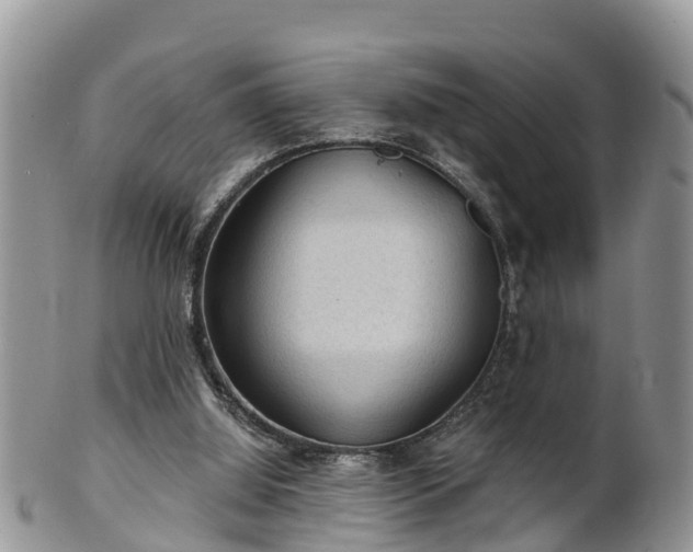 X0000102280060200808011459