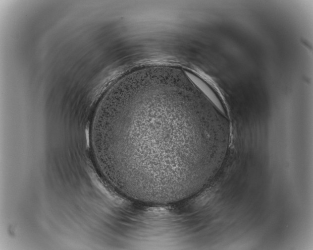 X0000102280061200808011459