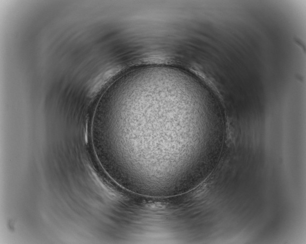 X0000102280062200808011459