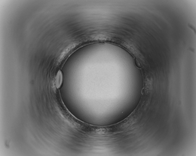 X0000102280064200808011459