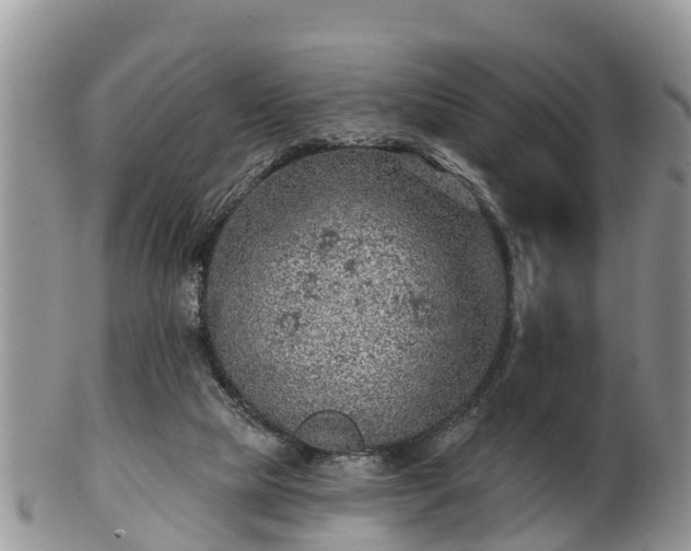 X0000102280065200808011459