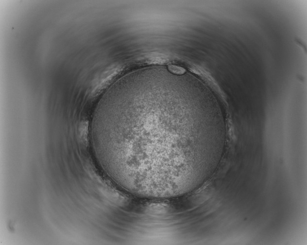 X0000102280066200808011459