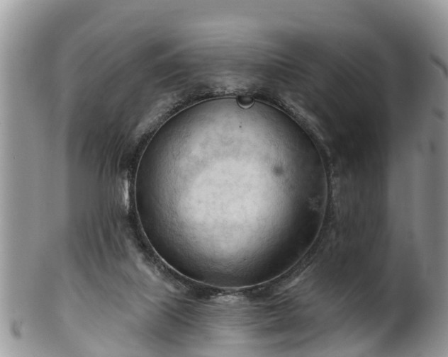 X0000102280067200808011459