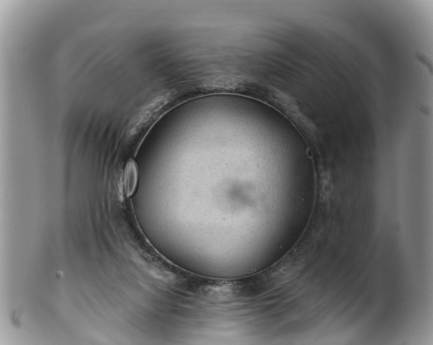 X0000102280068200808011500