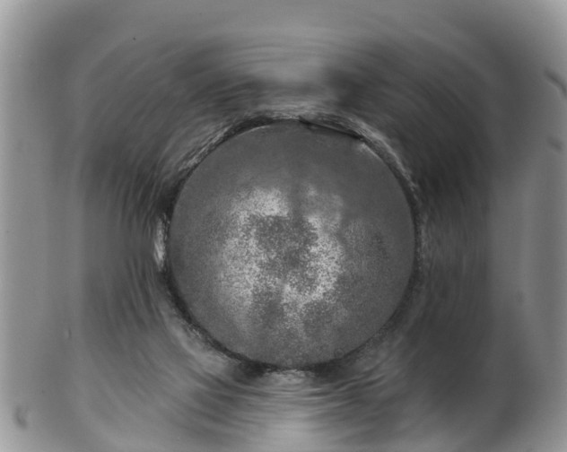 X0000102280069200808011500