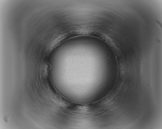 X0000102280071200808011500