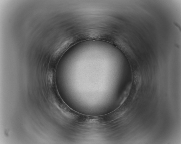 X0000102280072200808011500