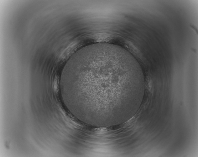 X0000102280074200808011500