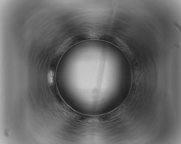 X0000102280075200808011500