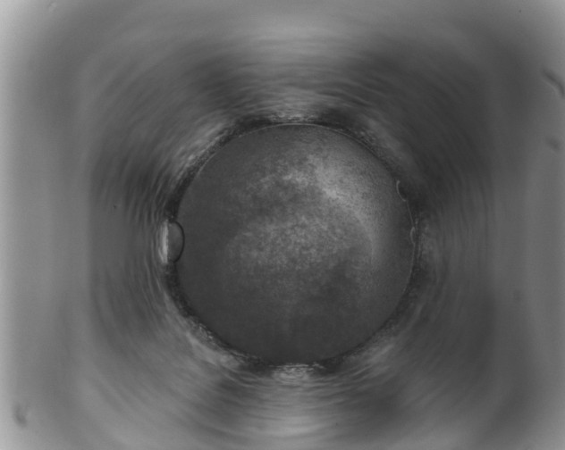 X0000102280076200808011500