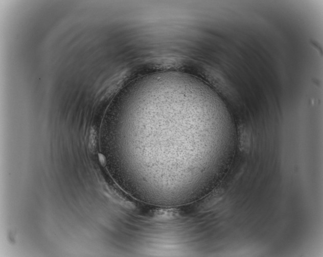 X0000102280077200808011500