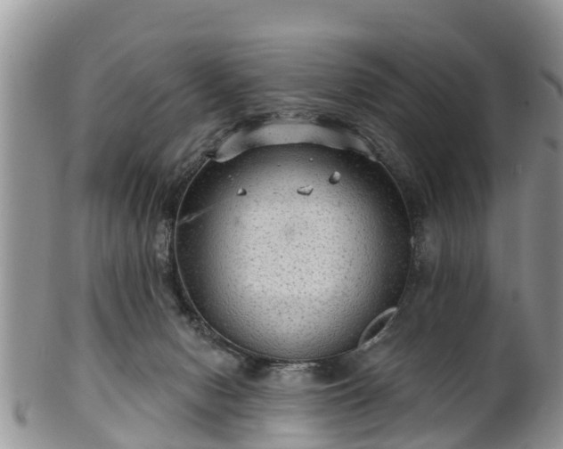 X0000102280078200808011500