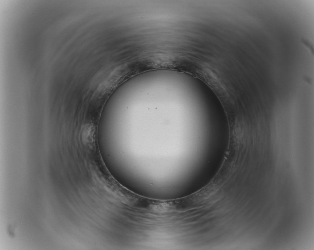 X0000102280079200808011500