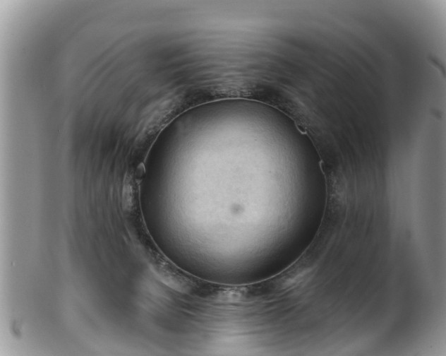 X0000102280080200808011500