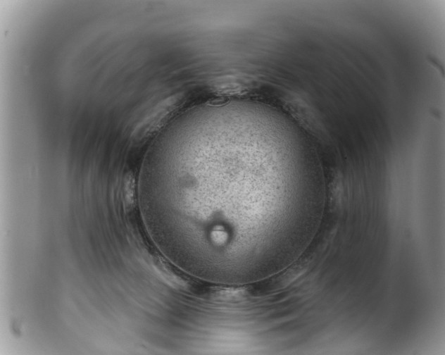 X0000102280081200808011500